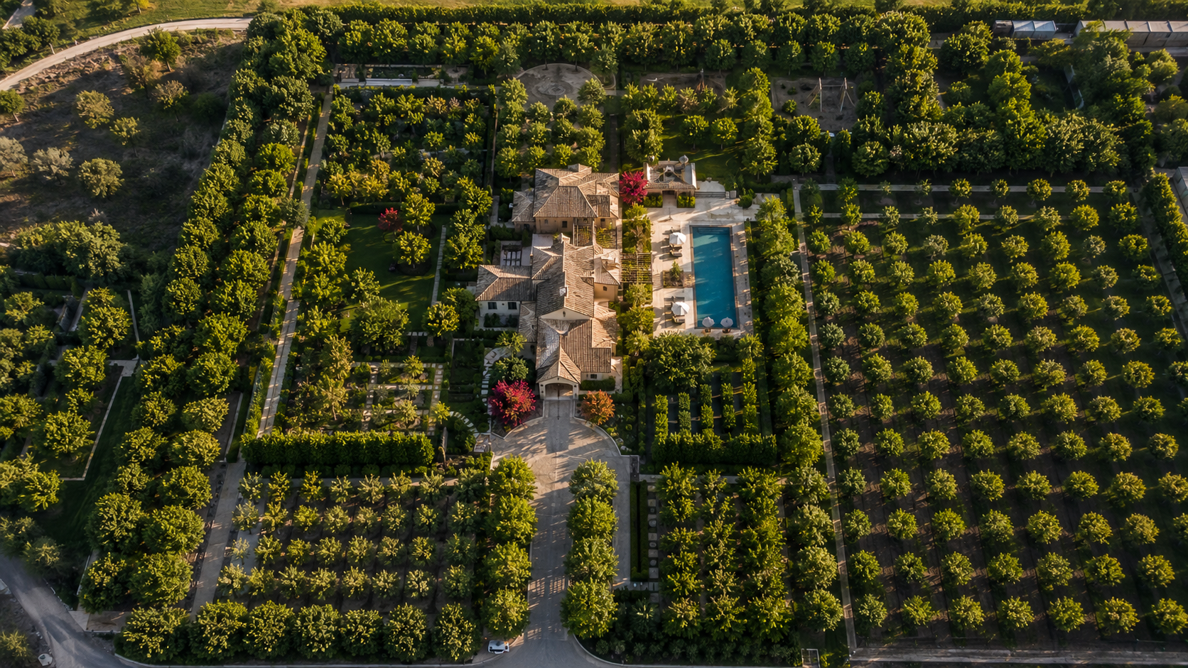 Tree Planting Service in Abu Dhabi - landscaping service 30